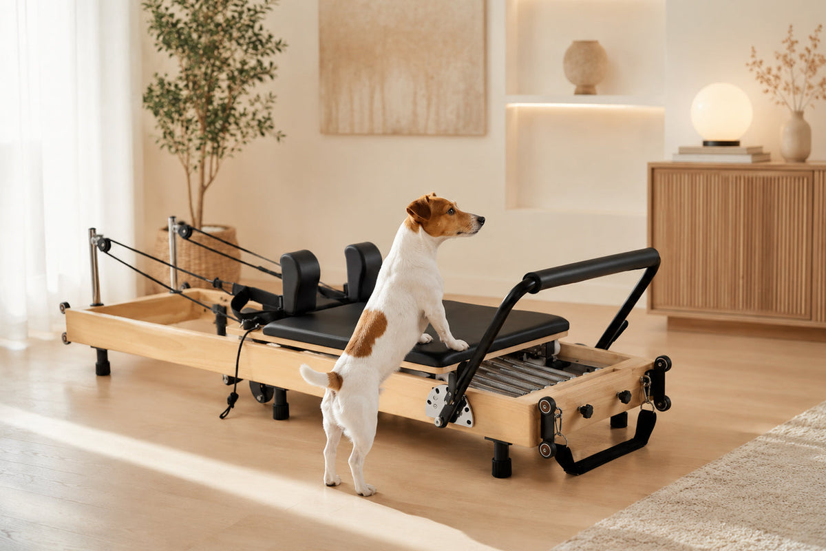 The Truth About Foldable Pilates Reformers: Do They Sacrifice Studio Quality?